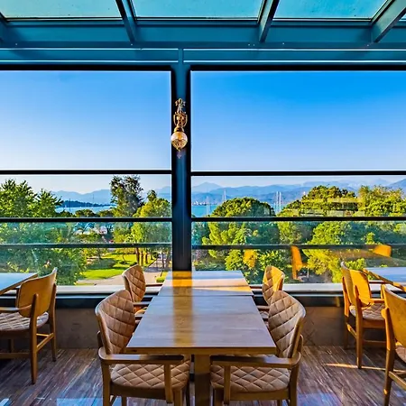 ريس رويال فتحية